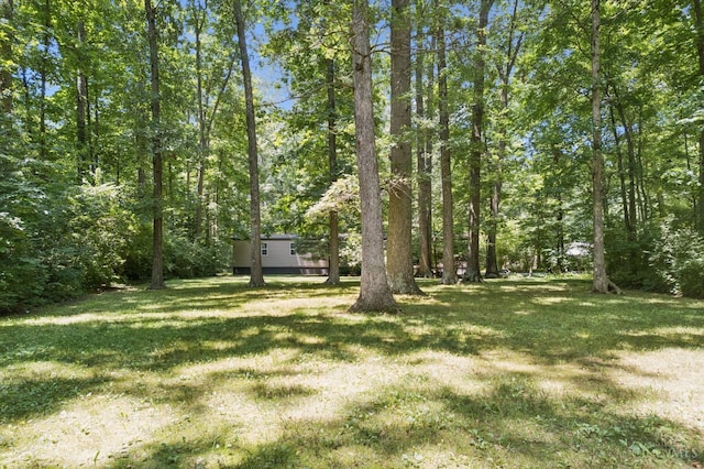 14697 Bodman Rd, Sterling Twp, OH 45154 - view of green lawn