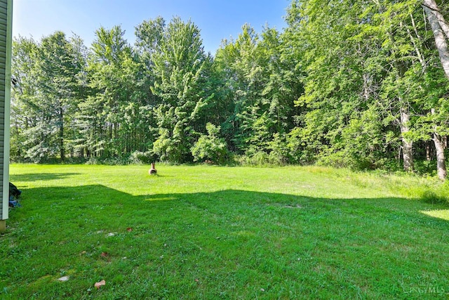 2695 Bergen Rd, Stonelick Twp, OH 45103 - photo 34