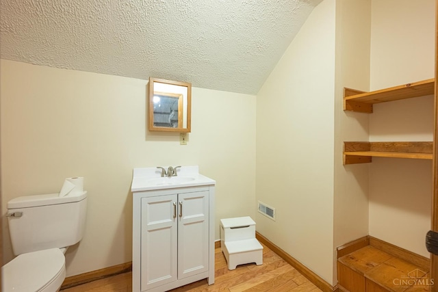 989 E Ogden Rd, Adams Twp, OH 45177 - bathroom featuring a textured ceiling, wood finished floors, vanity, and lofted ceiling