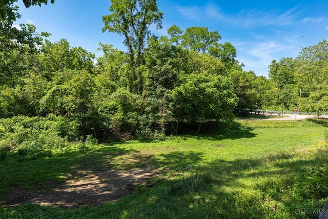 989 E Ogden Rd, Adams Twp, OH 45177 - view of grassy yard with a wooded view