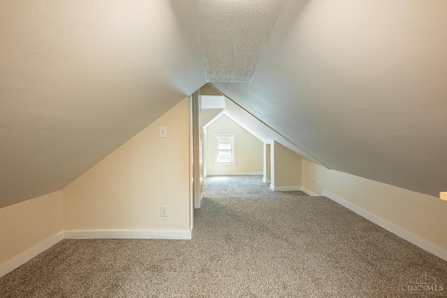 989 E Ogden Rd, Adams Twp, OH 45177 - additional living space with carpet floors and lofted ceiling