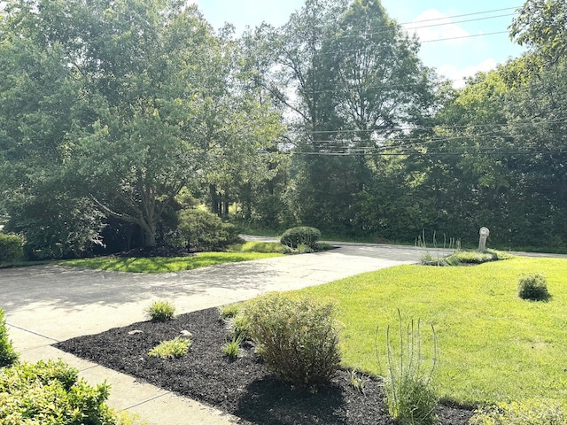 6330 Branch Hill Miamiville Rd, Miami Twp, OH 45140 - view of grassy yard
