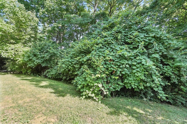 2380 Oaktree Pl, Cincinnati, OH 45238 - view of grassy yard
