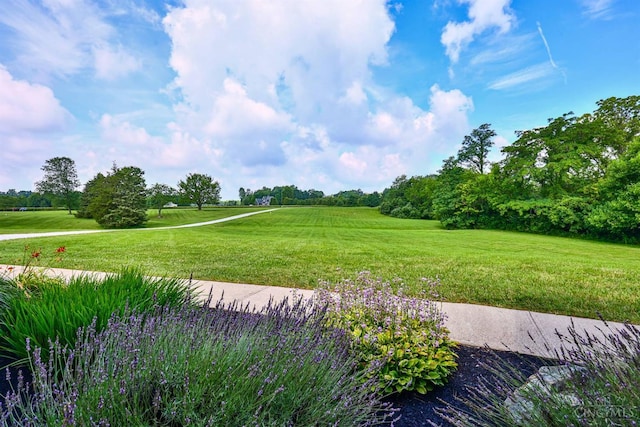 6154 Taylor Pike, Wayne Twp, OH 45107 - view of green lawn