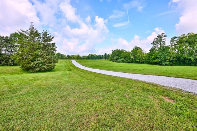 6154 Taylor Pike, Wayne Twp, OH 45107 - view of green lawn
