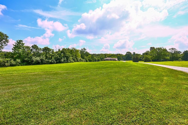 6154 Taylor Pike, Wayne Twp, OH 45107 - view of grassy yard