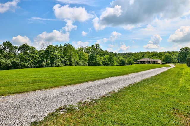 6154 Taylor Pike, Wayne Twp, OH 45107 - surrounding community with a wooded view and a yard