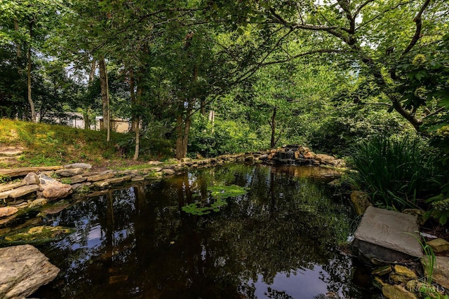 1050 Holz Ave, Anderson Twp, OH 45230 - water view