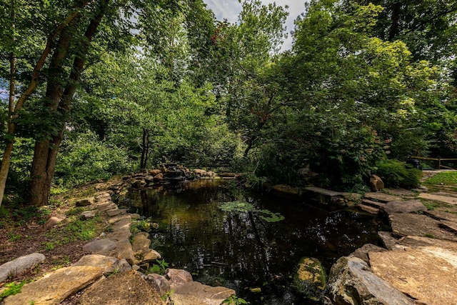 1050 Holz Ave, Anderson Twp, OH 45230 - view of wooded area