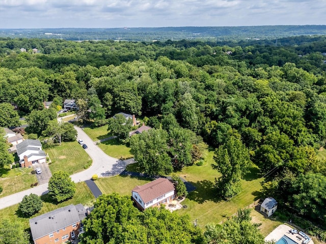 2724 Bentley Ct, Anderson Twp, OH 45244 - aerial view of property's location with a forest