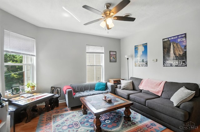 3254 Berwyn Pl, Cincinnati, OH 45209 - living room featuring wood finished floors, plenty of natural light, and a ceiling fan