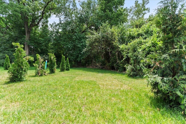 963 Windsor St, Cincinnati, OH 45206 - view of green lawn