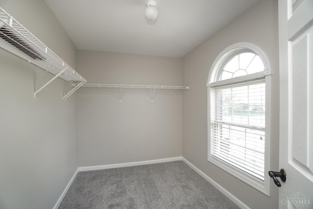 1031 Westchester, Union Twp, OH 45244 - spacious closet featuring carpet flooring