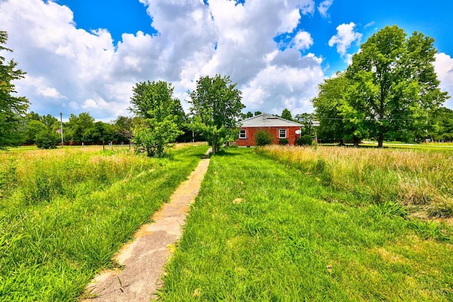 17403 Bloomrose Rd, Sterling Twp, OH 45176 - view of yard