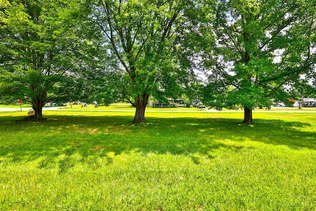 17403 Bloomrose Rd, Sterling Twp, OH 45176 - view of green lawn
