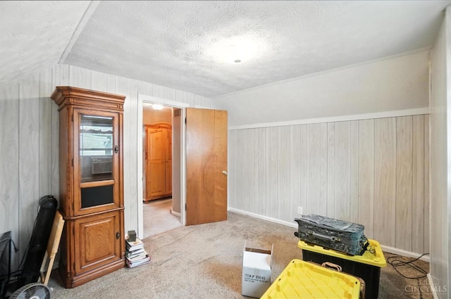 3760 Feldkamp Ave, Green Twp, OH 45211 - bonus room featuring vaulted ceiling, a textured ceiling, carpet floors, and wooden walls