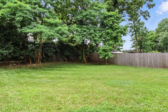 1545 Ruth Ave, Cincinnati, OH 45207 - view of yard