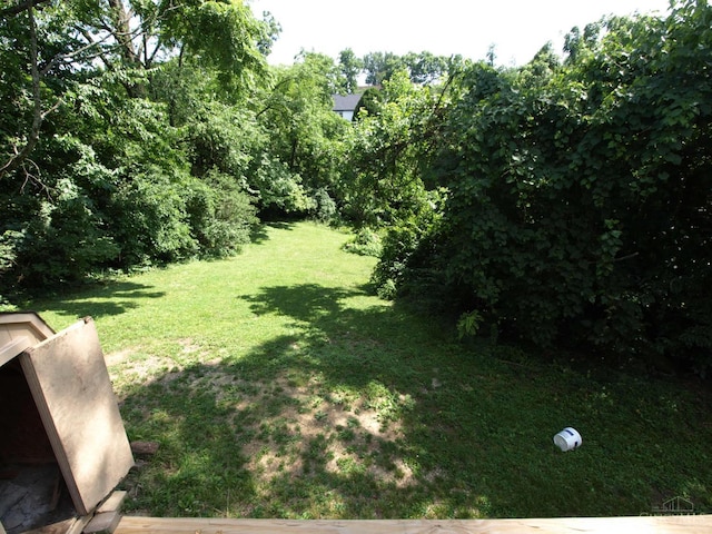 3527 Reemelin Rd, Green Twp, OH 45211 - view of grassy yard