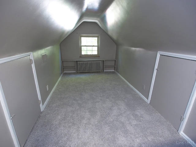 3527 Reemelin Rd, Green Twp, OH 45211 - bonus room with radiator, carpet flooring, and lofted ceiling