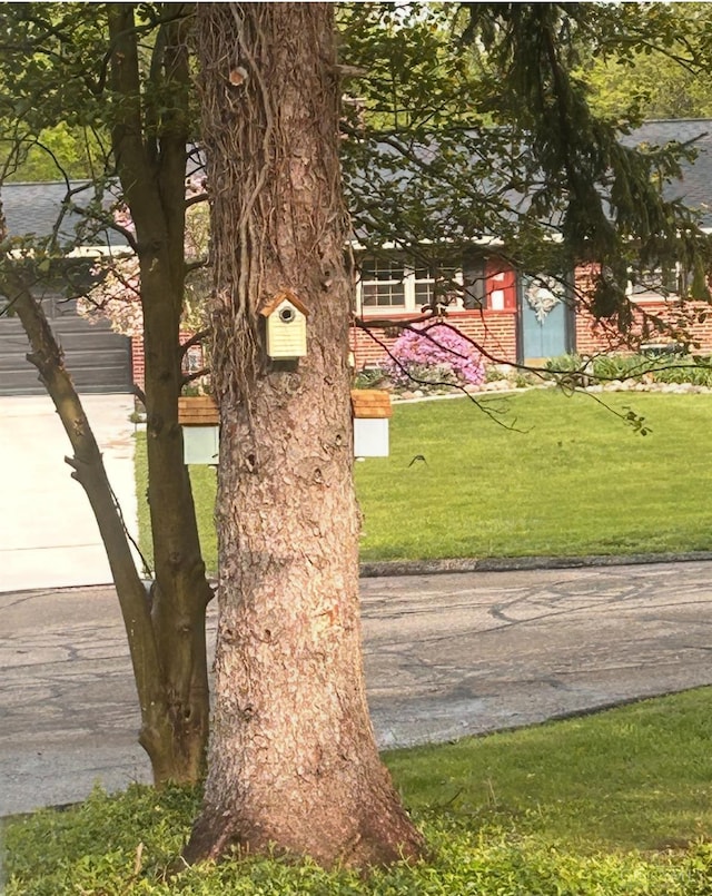 8608 Long Ln, Springfield Twp, OH 45231 - view of grassy yard