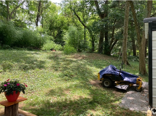 8608 Long Ln, Springfield Twp, OH 45231 - view of grassy yard