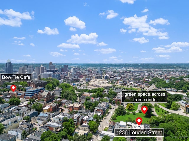 1236 Louden St, Cincinnati, OH 45202 - view of urban area