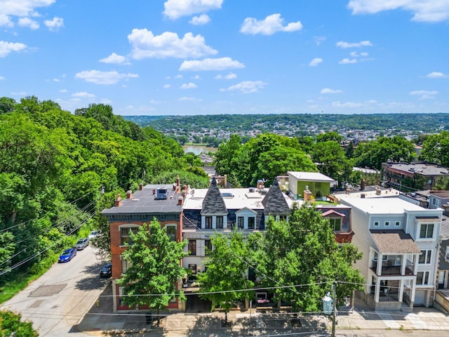 1236 Louden St, Cincinnati, OH 45202 - bird's eye view