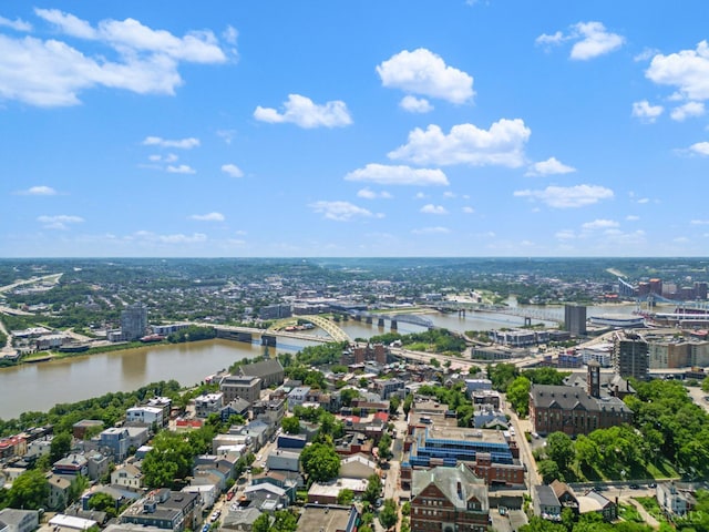 1236 Louden St, Cincinnati, OH 45202 - view of urban area featuring a large body of water and a notable bridge