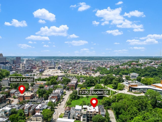 1236 Louden St, Cincinnati, OH 45202 - view of urban area