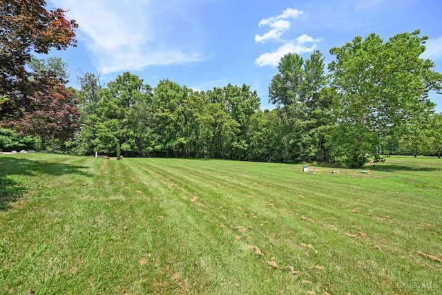 8424 Oak Grove Rd, Georgetown, OH 45121 - view of grassy yard with a view of trees