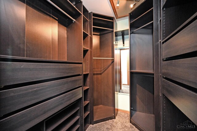 8424 Oak Grove Rd, Georgetown, OH 45121 - view of walk in closet