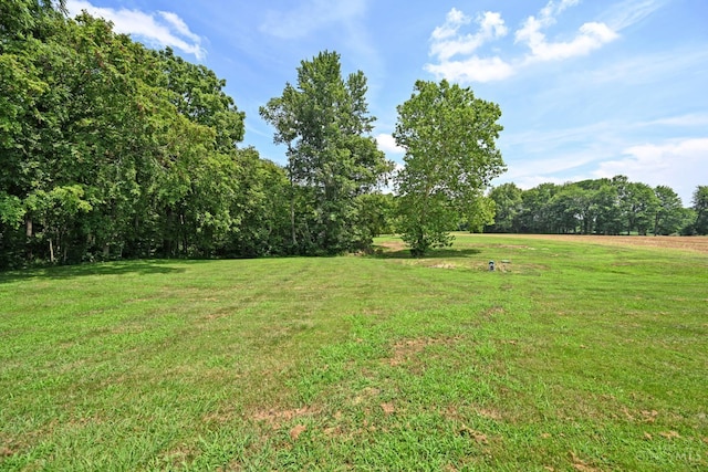 8424 Oak Grove Rd, Georgetown, OH 45121 - view of green lawn