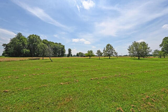 8424 Oak Grove Rd, Georgetown, OH 45121 - view of green lawn