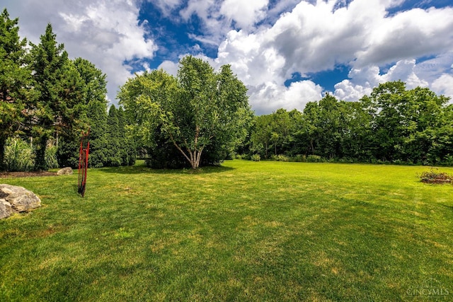1820 Meadow Sweet Dr, Turtle Creek Twp, OH 45036 - view of green lawn