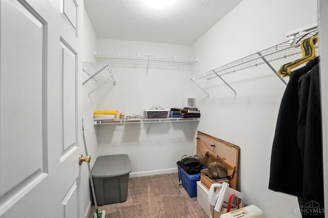 5433 Harbourwatch Unit 104, Deerfield Twp, OH 45040 - walk in closet featuring carpet flooring