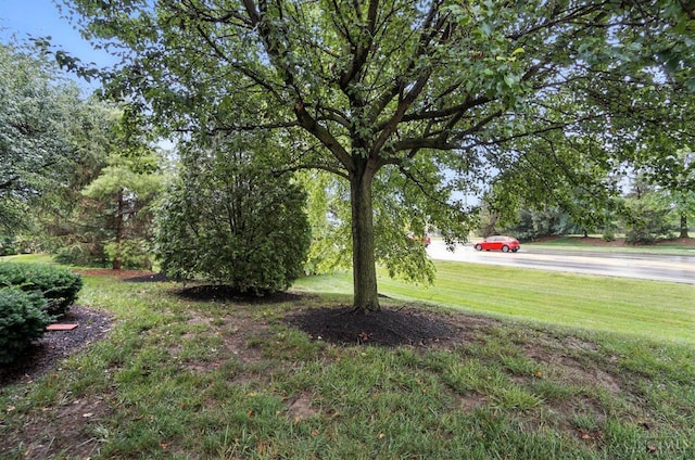 5433 Harbourwatch Unit 104, Deerfield Twp, OH 45040 - view of green lawn