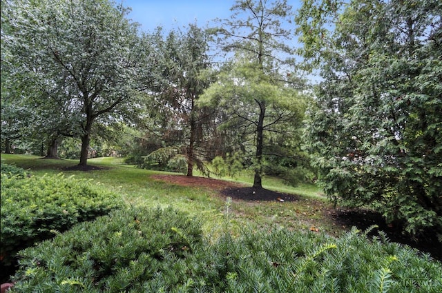 5433 Harbourwatch Unit 104, Deerfield Twp, OH 45040 - view of local wilderness
