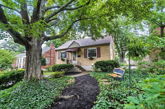 1146 Wilshire Ave, Anderson Twp, OH 45230 - bungalow-style home with brick siding and a shingled roof