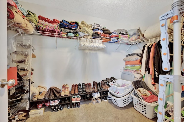 8020 Stoney Ridge Dr, Colerain Twp, OH 45247 - walk in closet featuring carpet