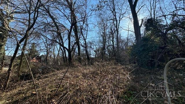 17 Clinton Springs Ln, Cincinnati, OH 45217 - view of undeveloped land