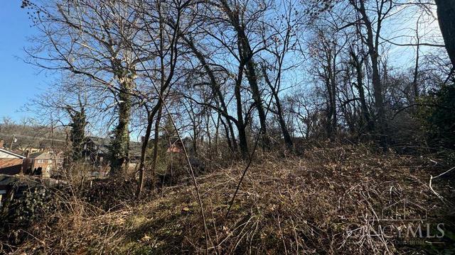 17 Clinton Springs Ln, Cincinnati, OH 45217 - view of local wilderness