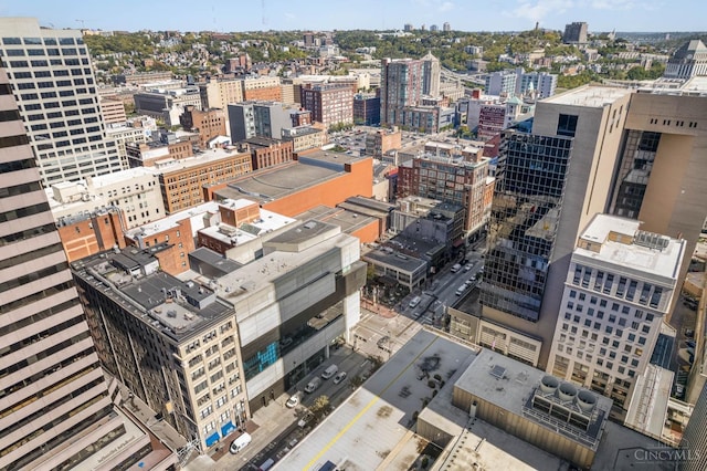 26 E Sixth St Unit 403, Cincinnati, OH 45202 - city view