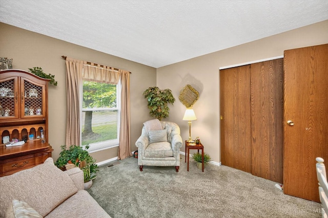5613 Williamsburg Way, Fairfield, OH 45014 - sitting room featuring carpet and a textured ceiling