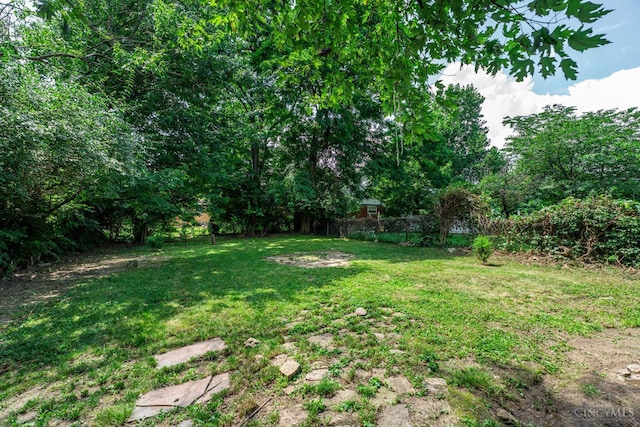 3997 Washington Ave, Cheviot, OH 45211 - view of yard