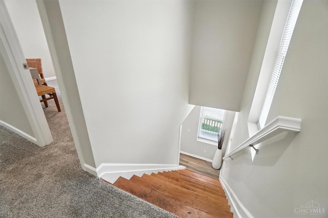 1582 Dixmont Ave, Cincinnati, OH 45207 - staircase featuring baseboards and carpet floors