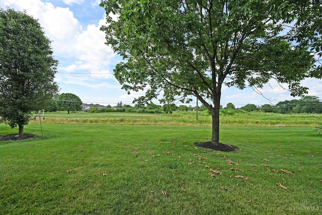4154 Fieldsedge Dr, Mason, OH 45040 - view of grassy yard featuring a rural view