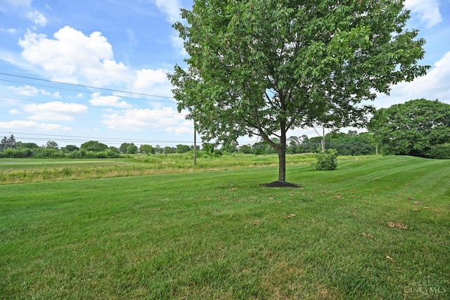 4154 Fieldsedge Dr, Mason, OH 45040 - view of green lawn