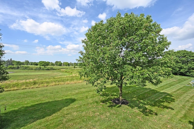 4154 Fieldsedge Dr, Mason, OH 45040 - view of green lawn
