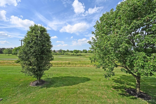 4154 Fieldsedge Dr, Mason, OH 45040 - view of green lawn