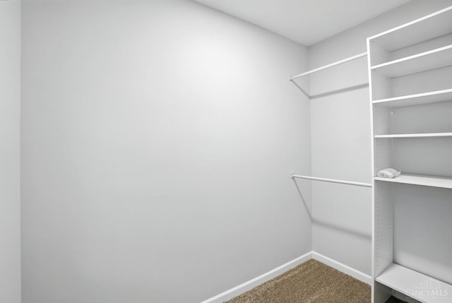 152 N College St, Sabina, OH 45169 - walk in closet with carpet floors
